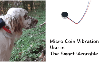 Coin Vibration Motor - PMD
